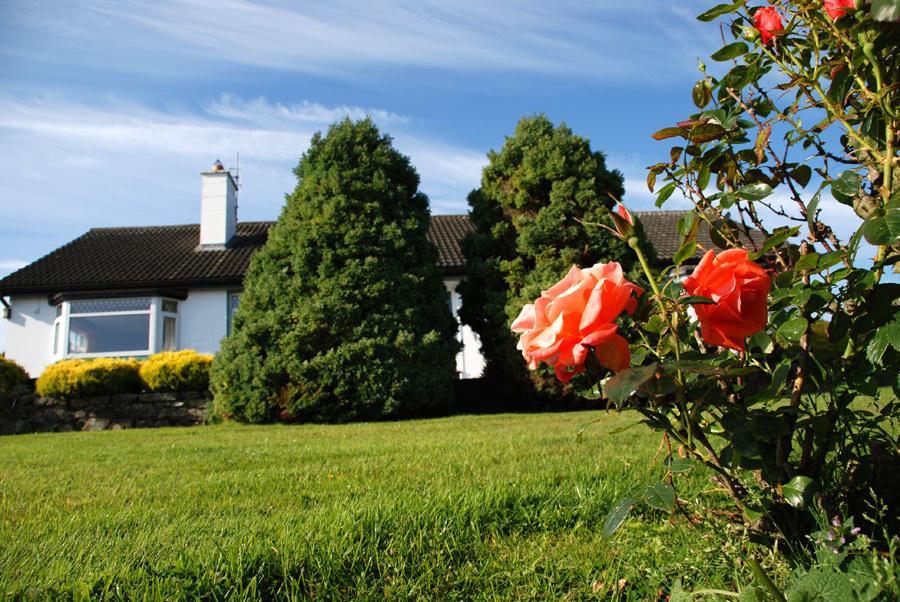 Castle View B&B Freshford Dış mekan fotoğraf